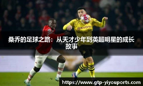 易游体育yy